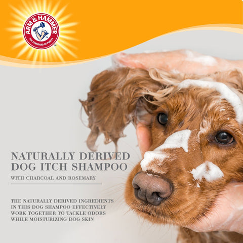 Arm & Hammer Ultra Fresh Deep Cleansing with Charcoal & Rosemary Value Size Dog Shampoo, 24-fl oz bottle