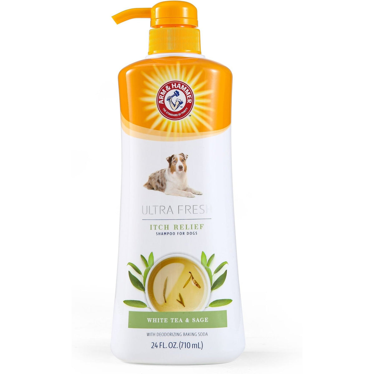 Arm & Hammer Ultra Fresh Itch Relief with Oatmeal & Aloe Value Size with Pump Dog Shampoo, 24-fl oz bottle