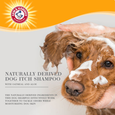 Arm & Hammer Ultra Fresh Itch Relief with Oatmeal & Aloe Value Size with Pump Dog Shampoo, 24-fl oz bottle