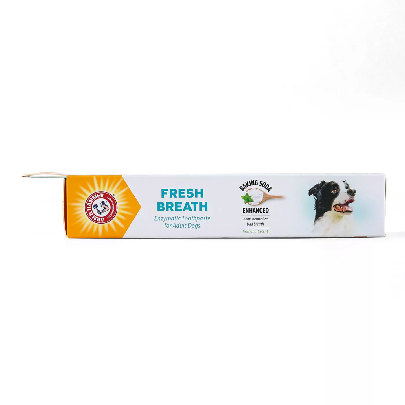 Arm & Hammer Fresh Breath Enzymatic Dog Toothpaste - Chicken