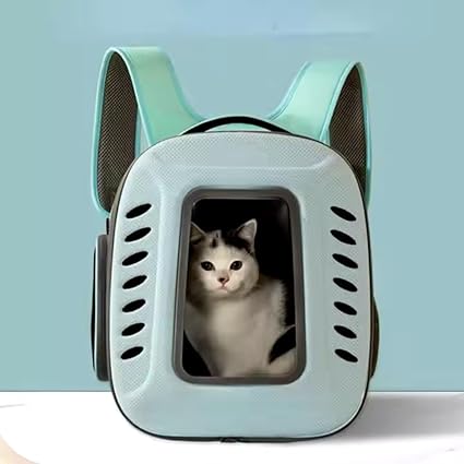 PET FUN Premium Transparent Cat Backpack Carrier - Breathable Pet Travel Bag for Cats & Small Dogs, Foldable, Ventilated with Ergonomic Design, Perfect for Hiking & Camping (Grey)