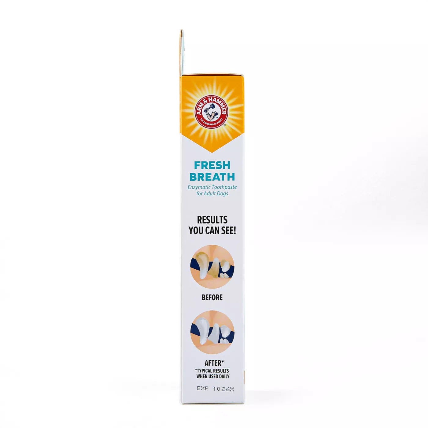 Arm & Hammer Fresh Breath Enzymatic Dog Toothpaste - Vanilla Ginger