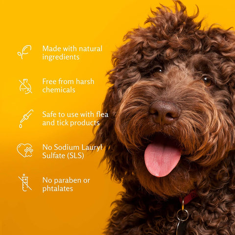 Tearless Puppy Shampoo in Coconut Water, Best Tearless Shampoo for All Dogs and Puppies