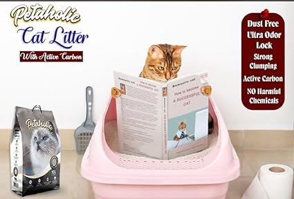 CAT LITTER (WITH ACTIVE CARBON)