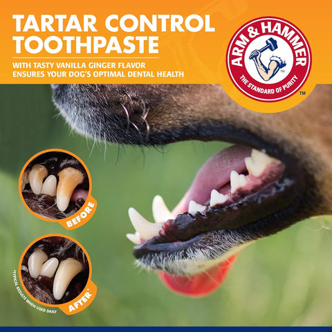 Arm & Hammer for Pets Tartar Control Kit for Dogs Contains Toothpaste, Toothbrush & Fingerbrush Reduces Plaque & Tartar Buildup, 3-Piece Kit, Banana Mint Flavor (Pack of 1)