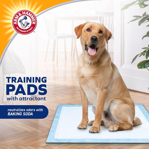 Arm & Hammer - Dog Training Pads Stay at Home | New & Improved Super Absorbent Leak Proof Odor Control Dog Padding with Baking Soda | 100 Count Pee Pads