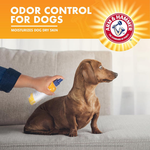 Arm & Hammer Super Deodorizing Spray for Dogs | Best Odor Eliminating Spray for All Dogs & Puppies, Kiwi Blossom Scent, 8 Ounces