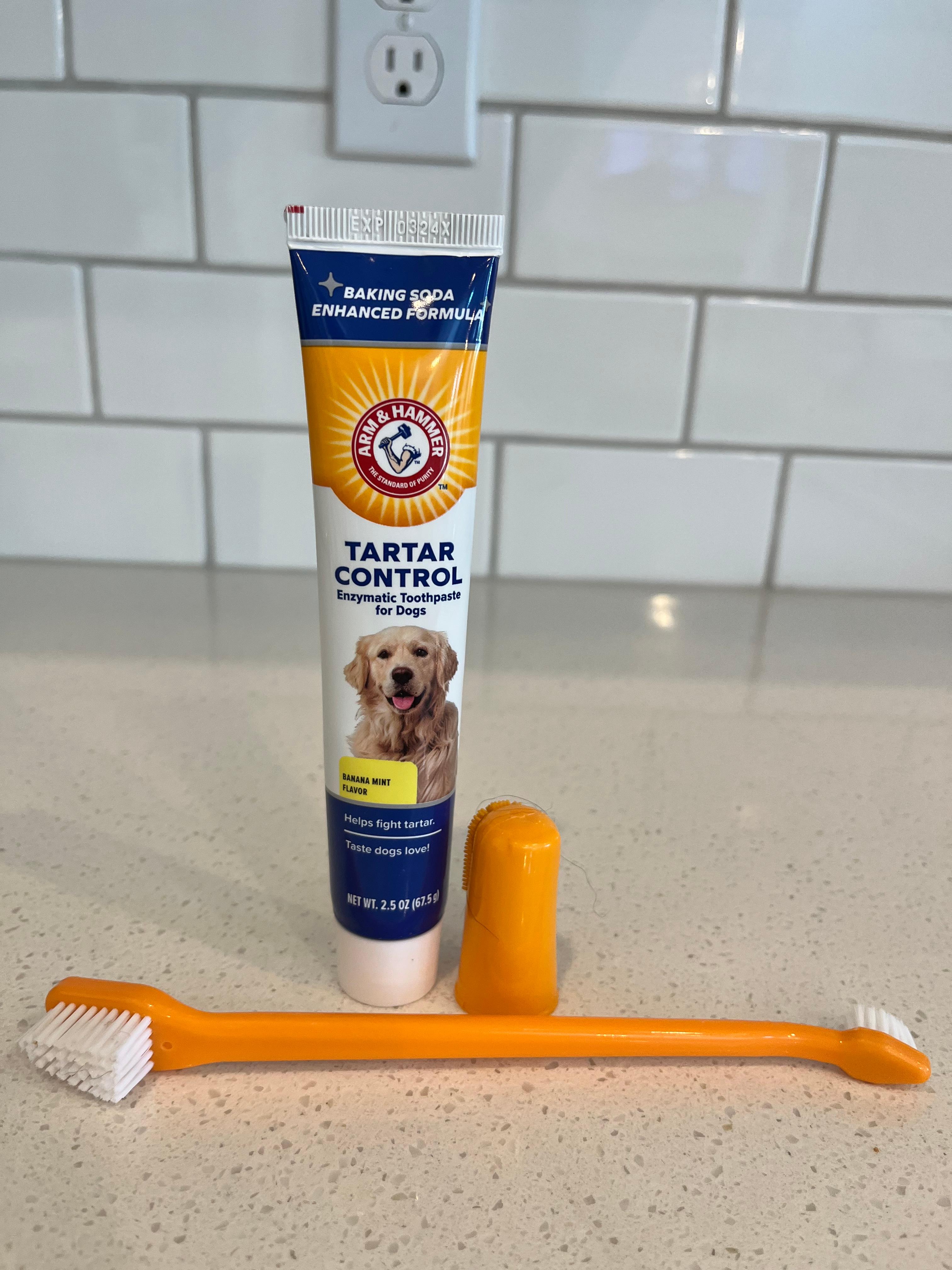 Arm & Hammer for Pets Tartar Control Kit for Dogs Contains Toothpaste, Toothbrush & Fingerbrush Reduces Plaque & Tartar Buildup, 3-Piece Kit, Banana Mint Flavor (Pack of 1)
