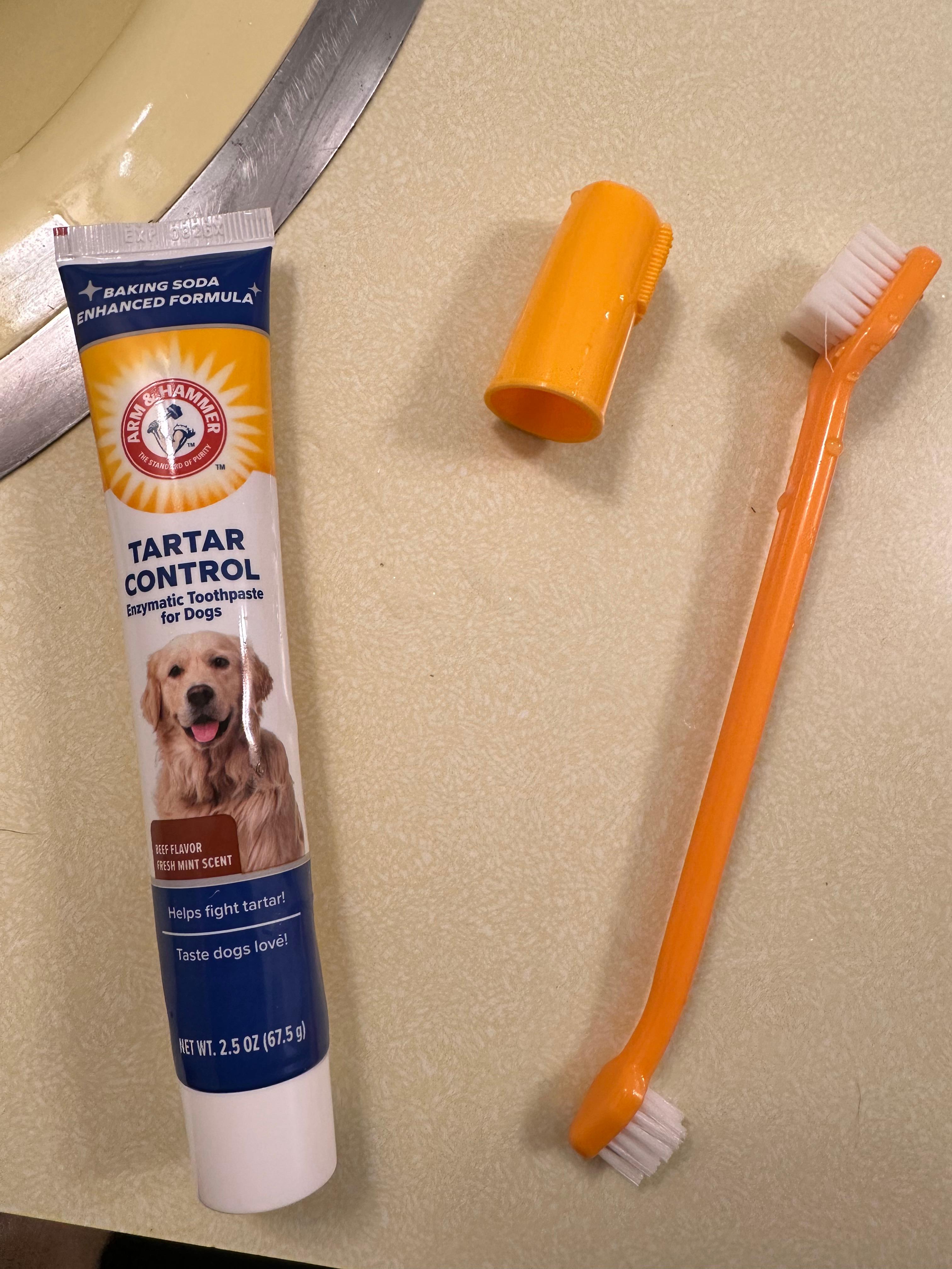 Arm & Hammer for Pets Tartar Control Kit for Dogs Contains Toothpaste, Toothbrush & Fingerbrush Reduces Plaque & Tartar Buildup, 3-Piece Kit, Banana Mint Flavor (Pack of 1)