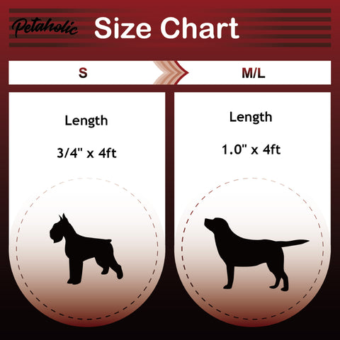 AIR MESH SERIES LEASH