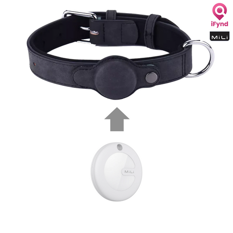MiTag with Collar (Dogs)- Pet Anti-Loss Device