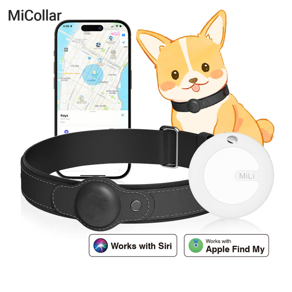 MiTag with Collar (Dogs)- Pet Anti-Loss Device